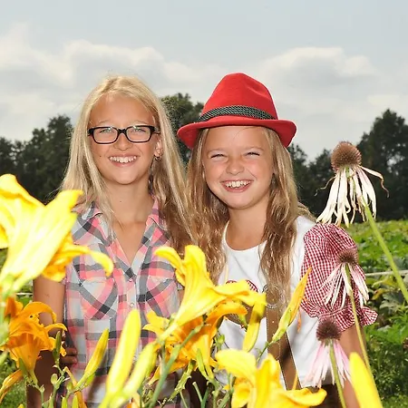 Inn Gasthof Schneider *